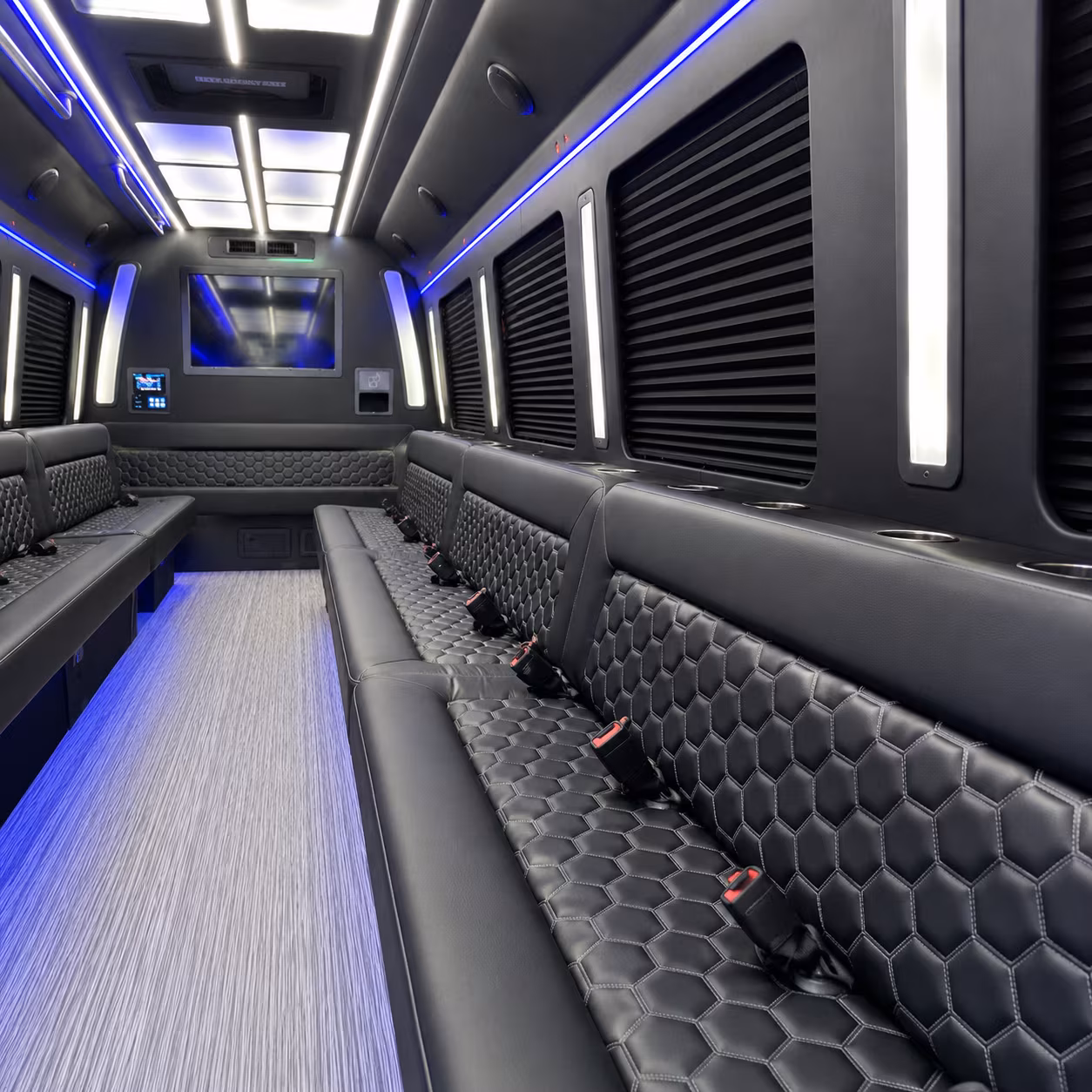 New Orleans Wedding Transportation party bus exterior